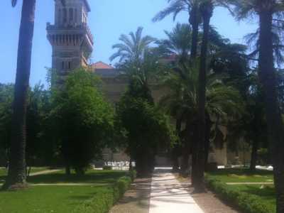Villa de Grecis - Parte del giardino
